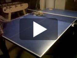 Ping-pong avec un chat